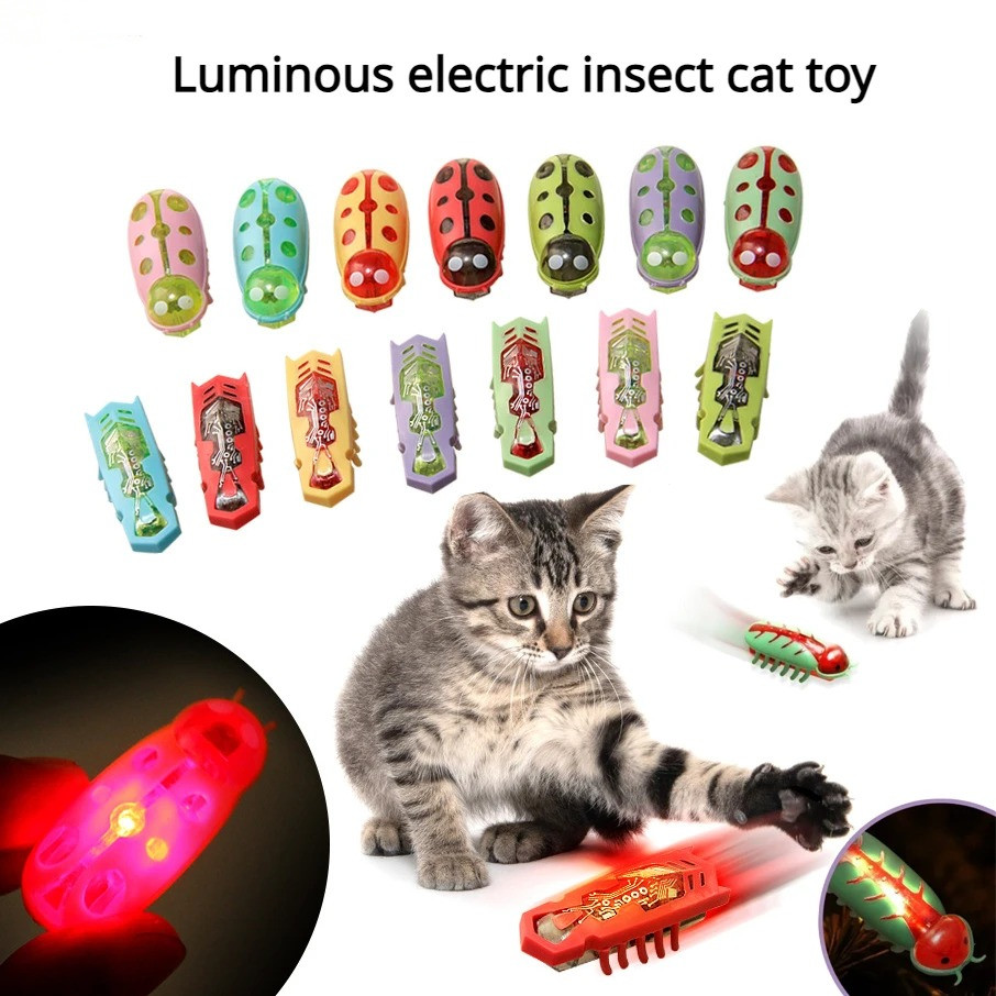 Power Tools Cat - Jouets pour chats : Vers électriques