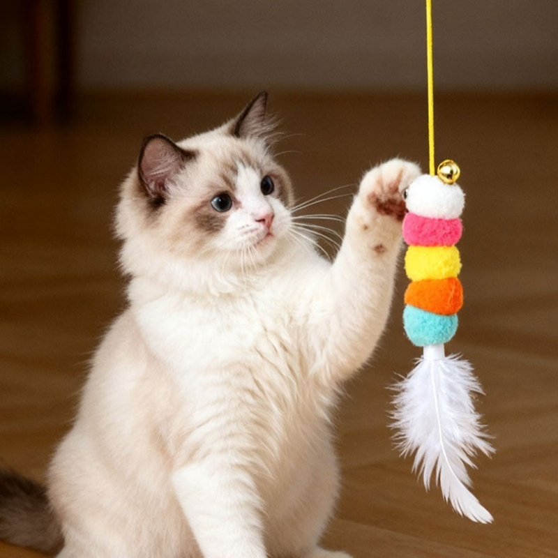Jouet électrique pour chat ave - Power Tools Cat avis et prix