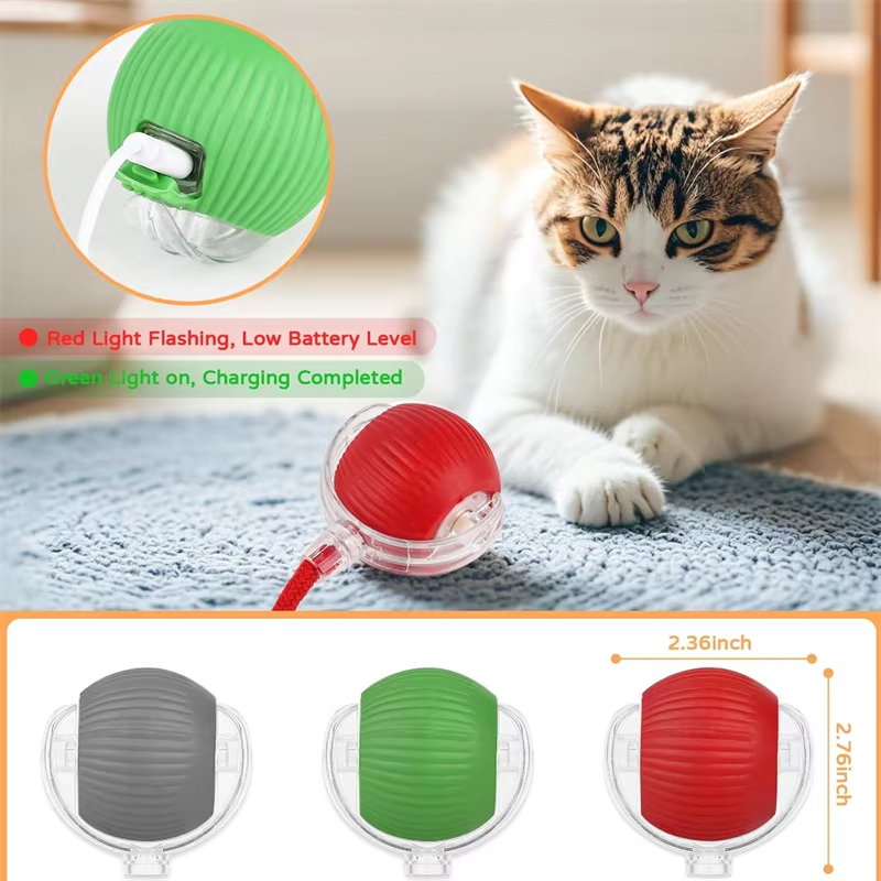 Nouveau jouet interactif pour  - Power Tools Cat avis et prix