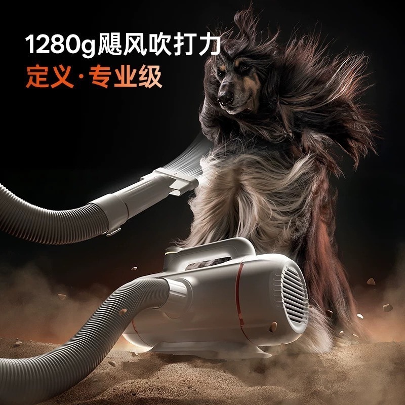 Sèche-cheveux pour animaux de  - Power Tools Cat avis et prix